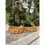 Brown Mcm Dog Collar-Leash Set. Desinger Dog Collar Set.