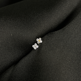 ✦ Mini Daisy