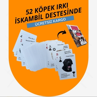 52 Köpek Irkı İskambil Destesi