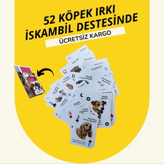 52 Köpek Irkı İskambil Destesi
