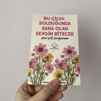 Sevgi çiçeği