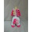 Pembiş Unicorn