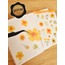 Şeffaf  - LF43 - Flower & Leaf Temalı Laptop, Notebook, Tablet, Telefon, Ajanda Sticker Seti