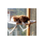 VANTUZLU CAM KEDİ YATAĞI