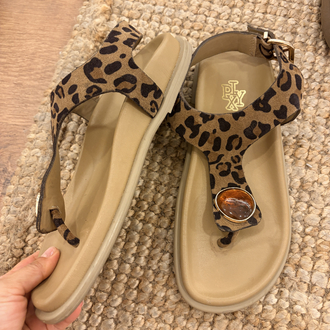 37 no leopar