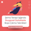 Şema Terapi Işığında Duygusal Zorluklarla Başa Çıkma Teknikleri