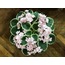 Cajun’s delicate touch standart, orta boy fide