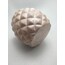 Rose Pineapple Sukulet Saksısı