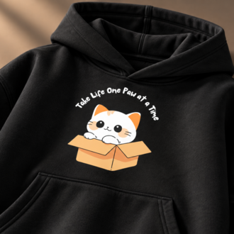 CAT IN THE BOX — Premium Oversize Hoodie