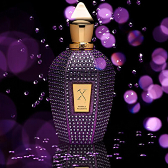 XERJOFF V Purple Accento