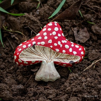 Şirinler Mantarı TOKA (Amanita muscaria)