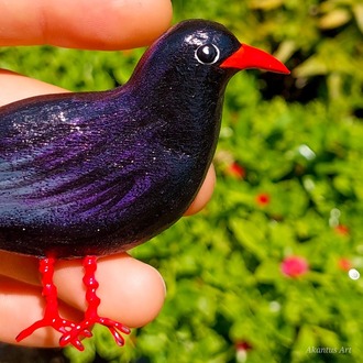 Kırmızı Gagalı Dağ Kargası TOKA (Pyrrhocorax graculus)