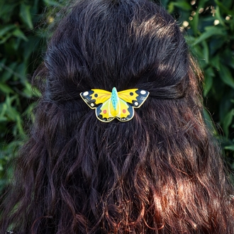 Sarı Azamet Kelebeği TOKA BÜYÜK (Colias croceus)