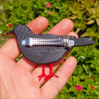 Kırmızı Gagalı Dağ Kargası TOKA (Pyrrhocorax graculus)