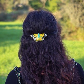 Sarı Azamet Kelebeği TOKA BÜYÜK (Colias croceus)