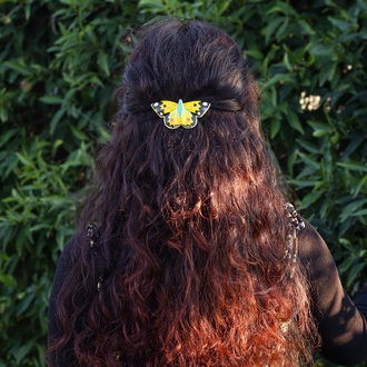 Sarı Azamet Kelebeği TOKA BÜYÜK (Colias croceus)