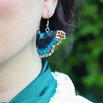 Dicle Güzeli Kelebeği KÜPE (Junonia orithya)
