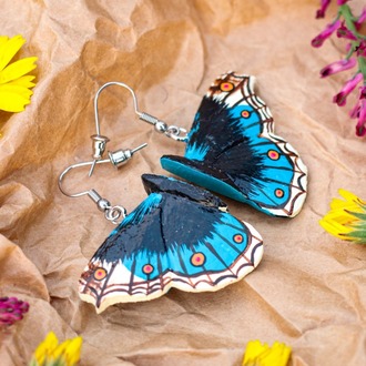 Dicle Güzeli Kelebeği KÜPE (Junonia orithya)