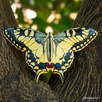 Kırlangıçkuyruk Kelebeği TOKA (Papilio machaon)