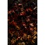 Sonbahar Renkleri 20x30cm
