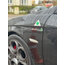 Alfa Romeo Krom Çamurluk Yoncası