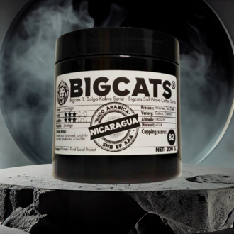 Bigcats Nicaragua SHB EP AAA Çekirdek Kahve 200 g