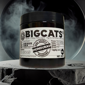 Bigcats Kosta Rika Tarrazu Santa Elena Natural Çekirdek Kahve 200 g