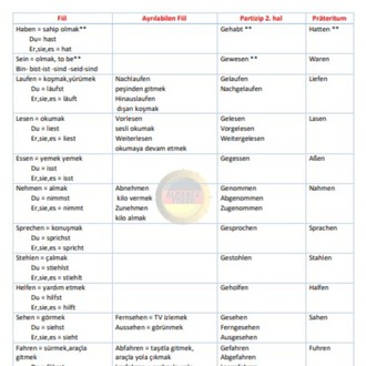 Tek Bir Kitap Baştan Sona Almanca