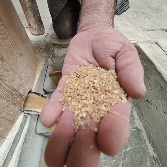 AL-810.Karakılçık Pilavlık Bulgur