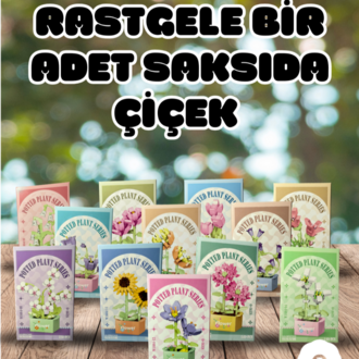 Sürpriz Çiçek Lego Seti