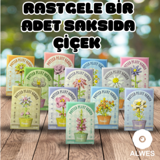 Sürpriz Çiçek Lego Seti #2