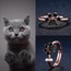 925 ayar gümüs black zirconia pati kesim yüzük