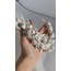 Celenas crown 