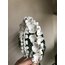 Royal crown 005
