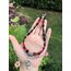 shaman choker