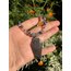SYLVİA choker