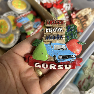 Bursa Gürsu Buzdolabı Süsü
