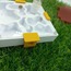 10x10 cm Modüler Sistem Formikaryum