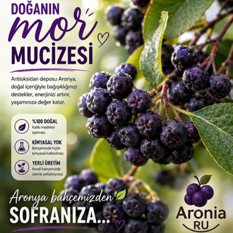 TAZE ARONYA 2 KG