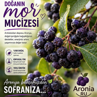 TAZE ARONYA 10 KG