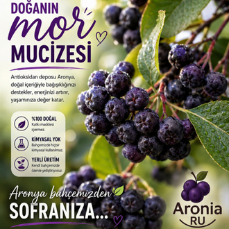 TAZE ARONYA 8 KG