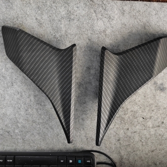 250SR Yan  Winglet 