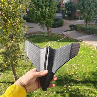 250SR Winglet Orj 
