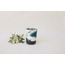 GREEN BRUSH 300 ML