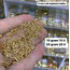 4 mm halka 10 gram kaplama