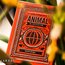 Animal Kingdom by Theory11