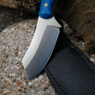 BS126