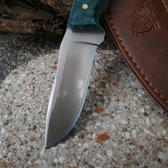 BS119