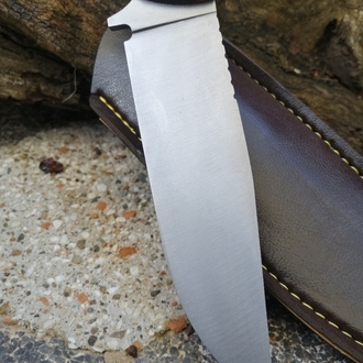 BS135