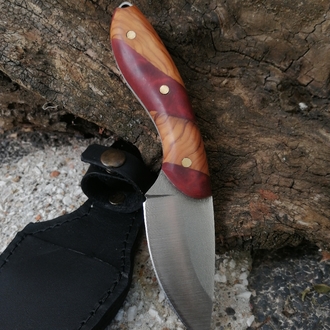 BS123